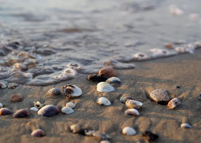 Colorful Flat Near The Sea Apartamento
